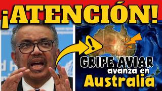 ¡ALERTA GRIPE AVIAR AVANZA EN AUSTRALIA [upl. by Estella]