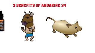 Andarine S4 Sarms Review Benefits Dangers amp Side effects [upl. by Enywtna]