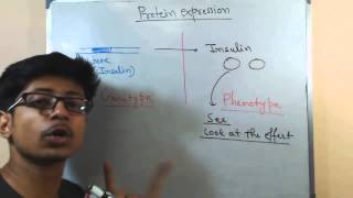 Protein expression [upl. by Kela]