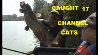 Caught 17 CHANNEL CATFISH [upl. by Karab921]