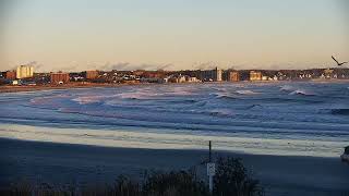 Surfline Surf Cam Footage November 2023 [upl. by Deane139]