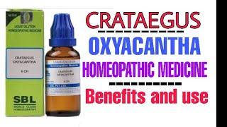 Crataegus oxyacantha homeopathic medicine benefits [upl. by Kolnick]