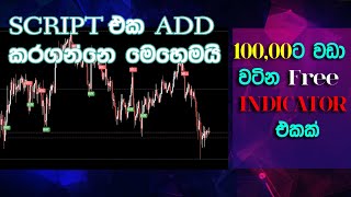 free indicator worth of more than 100000Ru  Sinhala  add pine editor indicator [upl. by Mccormac]