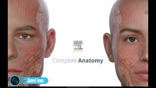 شرح أفضل تطبيق 3D لمادة التشريح Complete Anatomy  أهم ميزاته وطريقة تفعيله مجانًا مدى الحياة [upl. by Sapers]