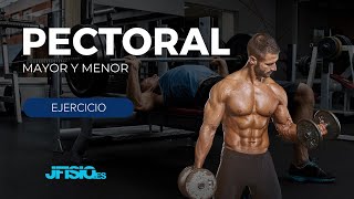 EJERCICIO de PECTORAL Mayor y Menor [upl. by Annoynek]