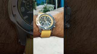 Timex expedition yellow with nato timex timexwatches timexwatch timexexpedition [upl. by Finnie]