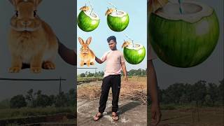 Rounding naryal Panirabbit 🐇 cat 🐈 elephant🐘 horse 🐎 animals neme VFX MAGIC videoshorts magic [upl. by Pavlov]