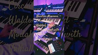 Novation Mininova  Circuit Tracks  Waldorf Blofeld  Modal Argon8 with Valhalla Supermassive [upl. by Shank]