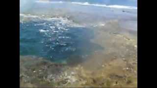 Sharks Cove  Freedive thru Lava Tube [upl. by Weslee]