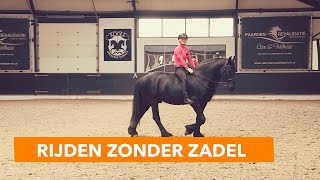 Basis paard rijden zonder zadel  PaardenpraatTV [upl. by Omura]