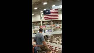 Roys Nebraska State Fair winning cattle run [upl. by Enalb]