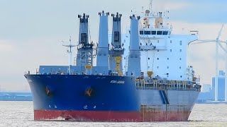 4 crane cargo seaship STAR LOUSIANA V7SD8 IMO 9593880  Lotse Emden pilot boarding [upl. by Onitnelav890]