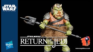 Star Wars Black Series Gamorrean Guard Deluxe Return of the Jedi 40th Anniversary Exclusive [upl. by Eenot616]