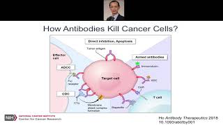 Antibody Binding Sites as Therapeutics From scFv to VHH and VNAR [upl. by Clava]