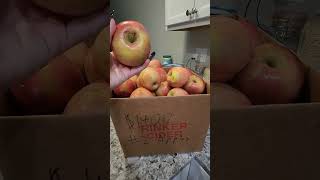 thefrugallifewithmercedes appleseason apples applesauce buylocal farmersmarket frugalliving [upl. by Amaryllis]