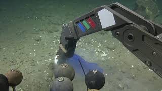 Sampling Methane Seeps of the Olympic Coast  Nautilus Live [upl. by Annayehc]