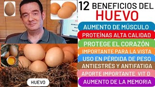 12 BENEFICIOS del🥚HUEVO🥚 DEPORTISTAS🏃MÚSCULO💪ESTRÉS😮 BAJA PESO👏ANTICANCERÍGENO LUTEÍNA ZEAXANTINA❤️ [upl. by Gervase]