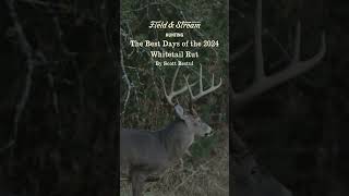 The Best Days of the 2024 Whitetail Rut [upl. by Aronle]