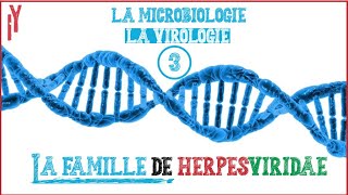 LA MICROBIOLOGIEVIROLOGIE EPISODE 3HERPESVIRIDAE généralité [upl. by Allehc]