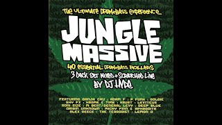 DJ Hype  Jungle Massive CD1 [upl. by Ahsita309]