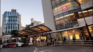 荻窪駅周辺 ぶら散歩  荻窪駅北口・天沼弁天地公園・日大二高通り等 [upl. by Nottage643]