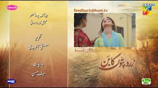 Zard Patton Ka Bunn  Episode 12 Teaser  21 July 2024   Sajal Ali amp Hamza Sohail   HUM TV [upl. by Thorrlow986]