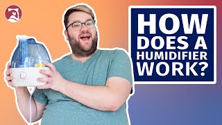 How Does a Humidifier Work [upl. by Beisel]