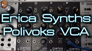 Erica Synths  Polivoks VCA [upl. by Artiek74]