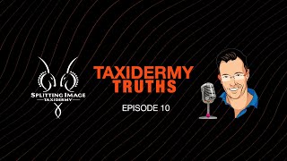 Taxidermy Truths  Episode 10  The Taxidermist Timeline [upl. by Atterahs]