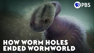 How Worm Holes Ended Wormworld [upl. by Snodgrass]