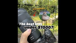 Canon RF 100400mm f568 IS USM Lens review [upl. by Pontone]