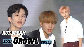 Korean Music Wave NCT DREAM  Growl 엔시티 드림  으르렁EXO Cover DMC Festival 2018 [upl. by Stauder]