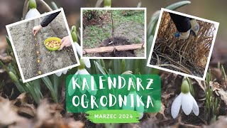 15 prac w ogrodzie w marcu czyli kalendarz ogrodnika 2024 [upl. by Sirod]