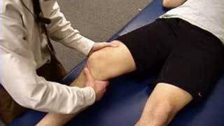 Knee Exam Lachman Test [upl. by Ahsirt306]