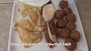 Recipes for crawfish tails Full Episode [upl. by Salta]