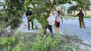 The Rich Mans Surprising Reaction When We Cleaned Up the Dense Grass in the Luxury Neighborhood [upl. by Sherard]