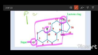 cardiac glycosides [upl. by Julita]