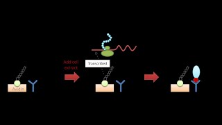 Protein Microarray Part 1 Introduction Probes on Chip sources of probes and detection system [upl. by Emiatej861]