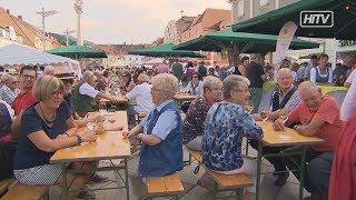 Weinfest in Leoben [upl. by Adien]