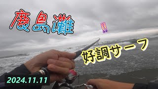 【鹿島灘サーフ】11月は好調です！ [upl. by Eidnalem347]