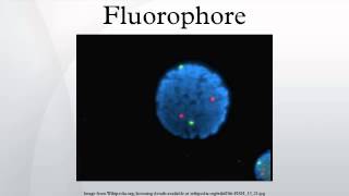 Fluorophore [upl. by Kirst]