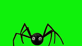 Cartoon Spider Run Green Screen [upl. by Chickie997]