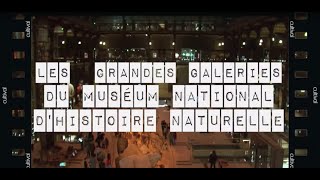 Visite insolite à Paris  les Grandes Galeries du Museum national dHistoire naturelle [upl. by Zerline]