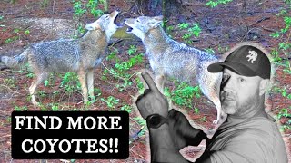 How To FIND COYOTES LOCATING COYOTES Explained In Detail For DAY or NIGHT Coyote Hunting [upl. by Yna]