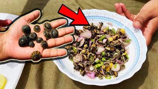 Limpet Mollusk Salad  Simple and Easy Sea Food Making on Beach [upl. by Hance315]