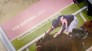 Tattersalls December Mares Sale 2023 [upl. by Sosthenna]