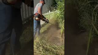 Knock down this fence high grass with ease satisfyingvideo satisfying lawn overgrownforyoufy [upl. by Repinuj460]