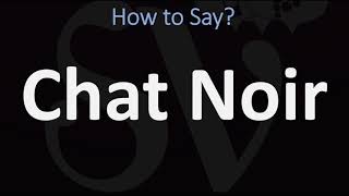 How to Pronounce Chat Noir CORRECTLY [upl. by Aerdnad]