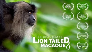 Teaser The Kingdom of Lion Tailed Macaque [upl. by Aland]