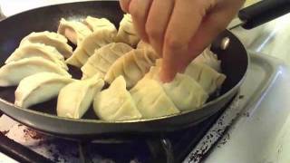 How to make Gyoza [upl. by Nason]